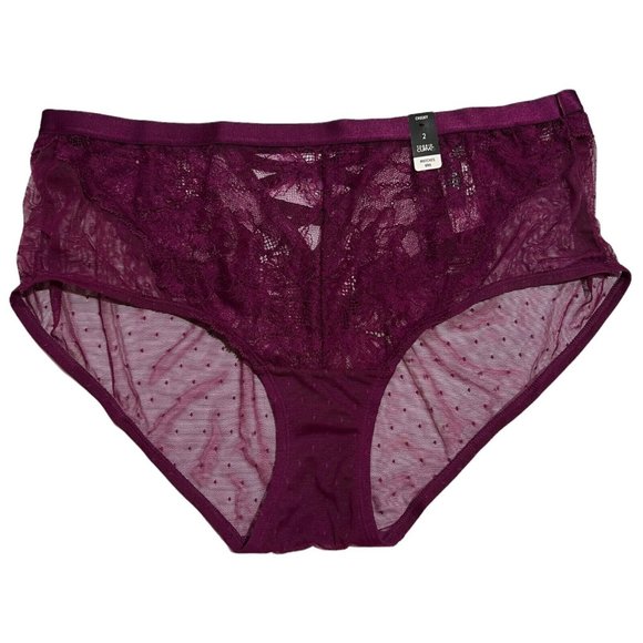 torrid Other - NWT TORRID Cheeky Pantie Underwear Sz 3X Purple Sheer Lace